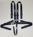 AR22041 -  Adult Harness System with Pull Up Lap Belt