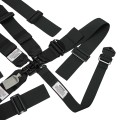 AR22031HSPL - Sprint/Midget Harness with HANS Shoulders and Single Pull Lap view 3