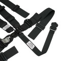 AR22031H - Sprint/Midget Harness w/ HANS Shoulders view 5