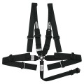 AR22401H - Camlock Harness System, HANS Shoulders, 5 or 6 Point w/ Pull Up Adjustable Lap