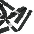 AR22411H - Camlock Harness System, HANS Shoulder, 5 or 6 Point, w Pull Down Lap Adjustment view 4