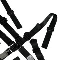 AR23031SPL - All 2" Sprint/Midget Harness w/ Single Pull Lap view 4