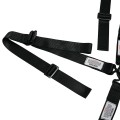 AR23401 - All 2" Camlock Harness System 5 or 6 point w/ Pull Up Lap Adjustment view 4