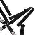 AR23401 - All 2" Camlock Harness System 5 or 6 point w/ Pull Up Lap Adjustment view 5