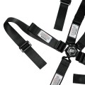 AR23411 All 2" Camlock Harness System 5 or 6 point with Pull Down Lap Adjustment view 4