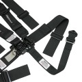 HB22001H - Standard Racing Harness w/ HANS Shoulders view 4