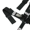 HB22001 - Standard Racing Harness view 3