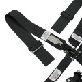 HB22051H - Ratcheting Lap Harness System w/ HANS Shoulders view 3