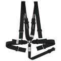 HB22411H HANS Compatible CAMLOCK Harness System 5 or 6 point with Pull Down Lap Adjustment