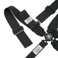 HB22411H HANS Compatible CAMLOCK Harness System 5 or 6 point with Pull Down Lap Adjustment view 3