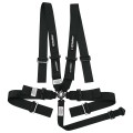 HB22411 CamLock Harness System, 5 or 6 Point, w/ Pull Down Lap Adjustment