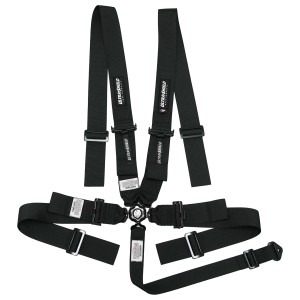 HB22411 CamLock Harness System, 5 or 6 Point, w/ Pull Down Lap Adjustment