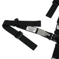 HB45031 - Junior Quarter Midget Belt view 3