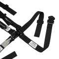 HB45031 - Junior Quarter Midget Belt view 4