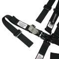 HB46021 Junior 5 Point - Pull Down Lap Harness view 3