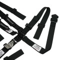 HB46021 Junior 5 Point - Pull Down Lap Harness view 4
