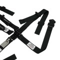 HB46031 Junior 5 Point Harness -  Pull Up Lap Belt Adjustment view 4